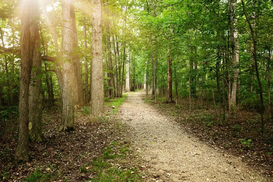 Explore 8 miles of trails where every walk can become a new family tradition.​