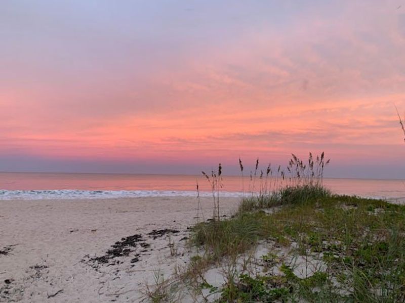Natural surroundings and green spaces near Seaglass in Vero Beach, FL (Image 99).