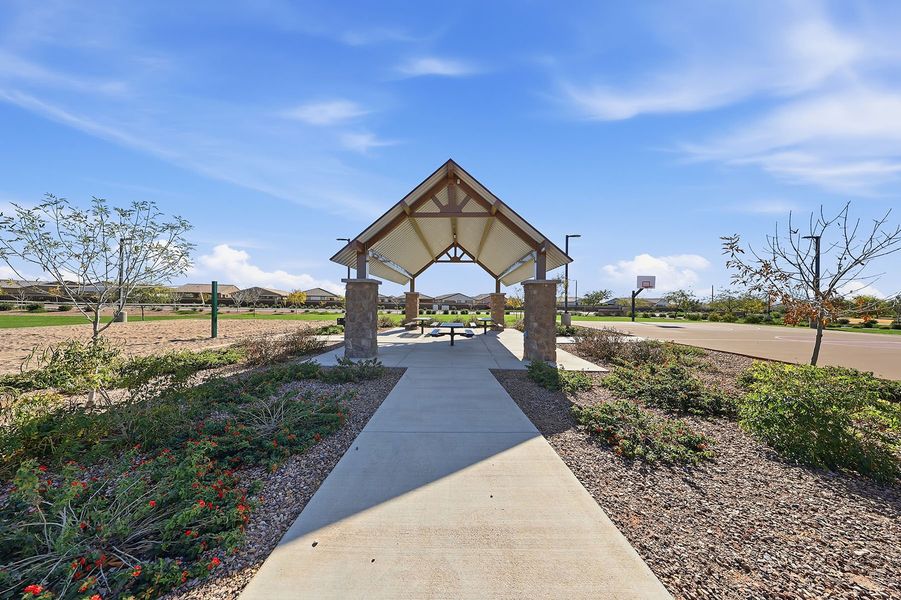 Community amenity available to residents of Bella Vista Farms in Queen Creek (Image 2). Community amenity available to residents of Bella Vista Farms in Queen Creek (Image 2).