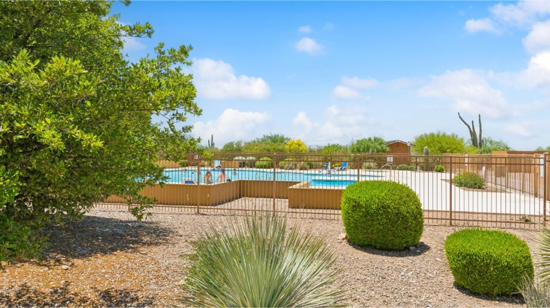 Sycamore Canyon Amenity Pool 2of2