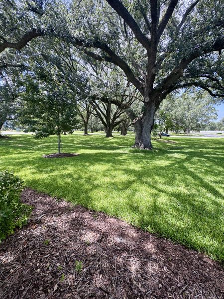 A serene landscape with mature trees and lush greenery in Granary Park: Granary Park 40s by Lennar (Green Cove Springs, FL).
