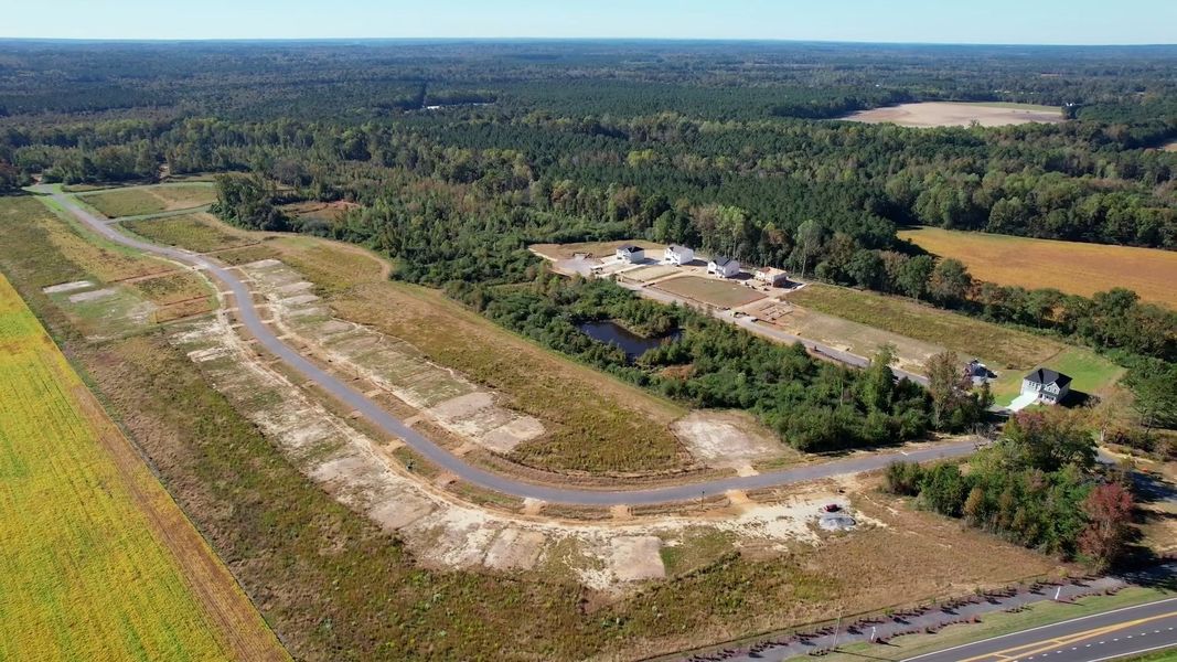 Site preparation and early development at Leander Lee Preserve in Lillington, NC (Image 27). Site preparation and early development at Leander Lee Preserve in Lillington, NC (Image 27).