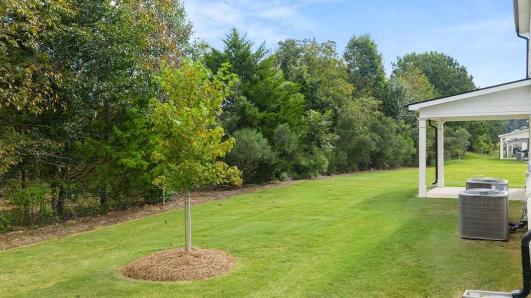 Exterior details of a home in Bridle Creek, Locust Grove (Image 5). Exterior details of a home in Bridle Creek, Locust Grove (Image 5).