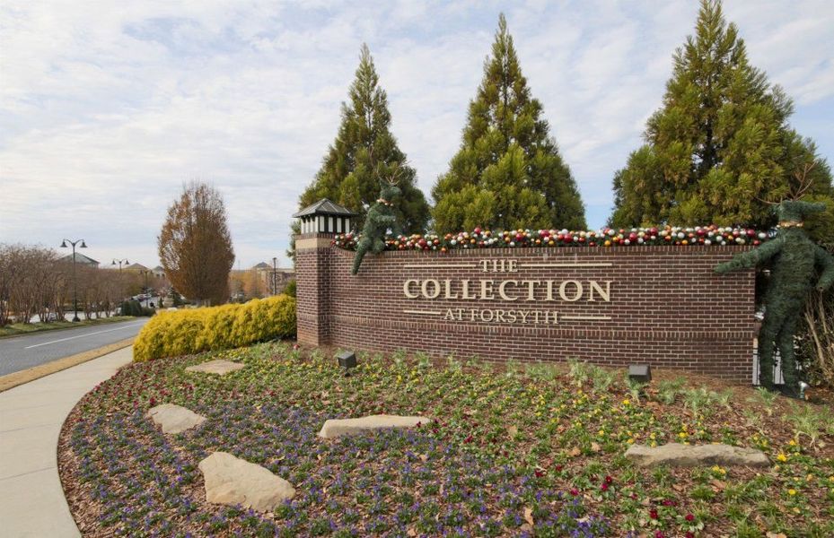 The Collection at Forsyth