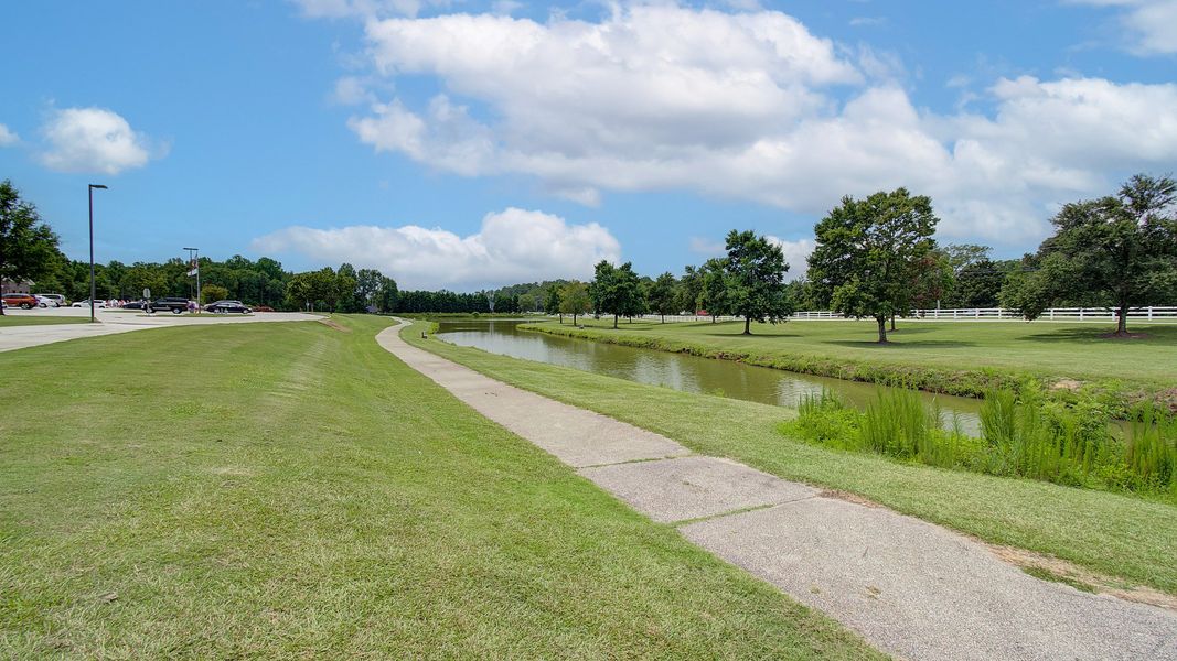 Natural surroundings and green spaces near Everson in Snellville, GA (Image 20).