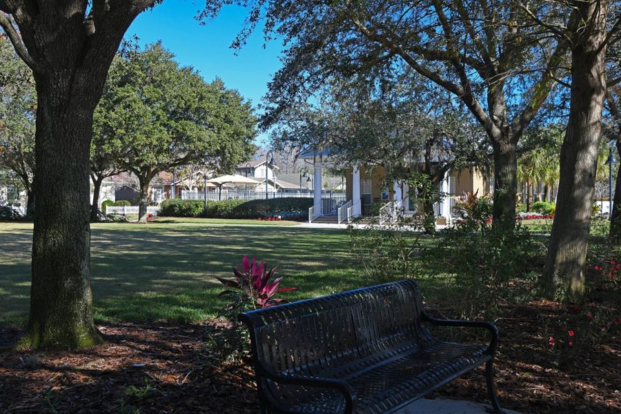 Image 3 of the Hawk Longleaf community in New Port Richey, FL.