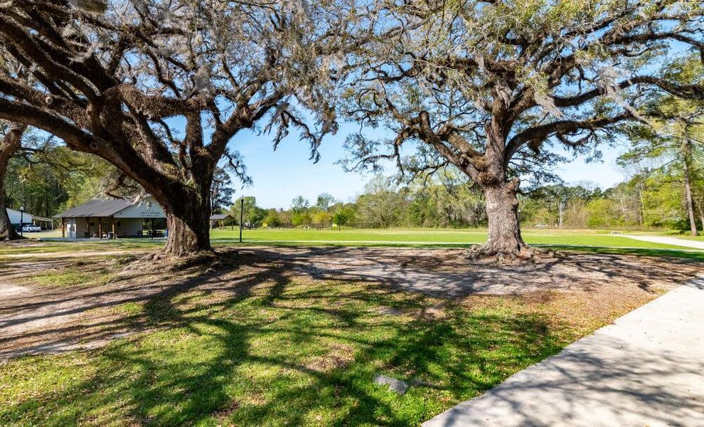 Natural surroundings and green spaces near The Landings at Montague in Goose Creek, SC (Image 22).