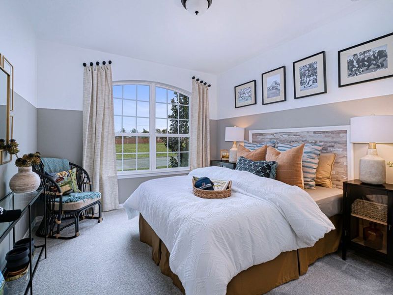 Image 8 of the Hollyhock Classic Series community in Frisco, TX.