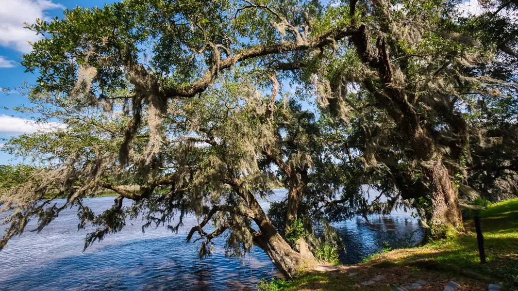 Natural surroundings and green spaces near Cypress Landing in Hardeeville, SC (Image 18). Natural surroundings and green spaces near Cypress Landing in Hardeeville, SC (Image 18).