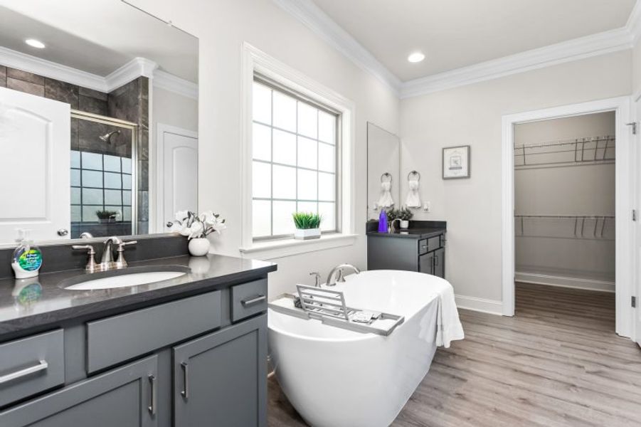 Furnished interior in a model home at Northborough in Colfax (Image 69).