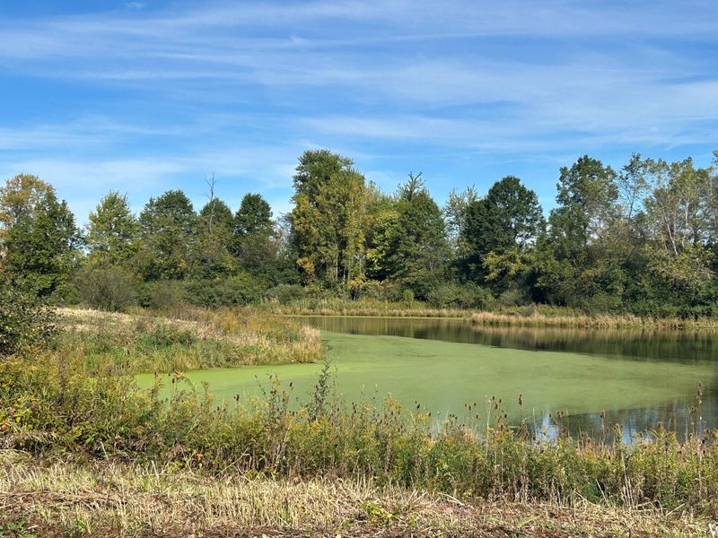 Natural surroundings and green spaces near Wellesley Woods in Ypsilanti, MI (Image 4). Natural surroundings and green spaces near Wellesley Woods in Ypsilanti, MI (Image 4).