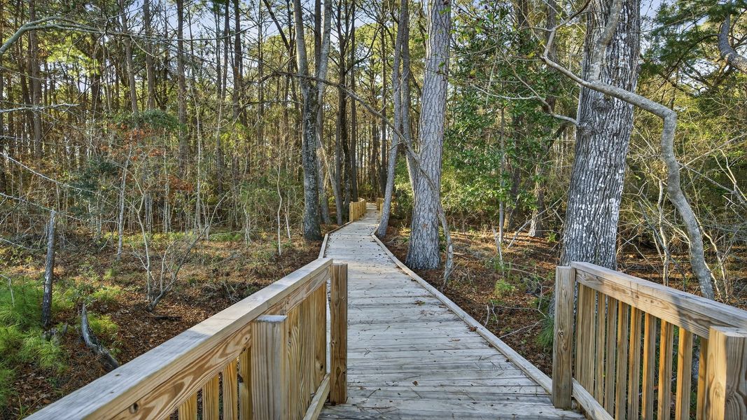 Wander through the tranquil wooded trail at Creekside at Andrews, perfect for peaceful strolls and fresh air