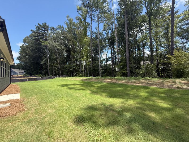 Expansive backyard with lush greenery and wooded views in Candleberry Place by Lennar (Sharpsburg, GA).