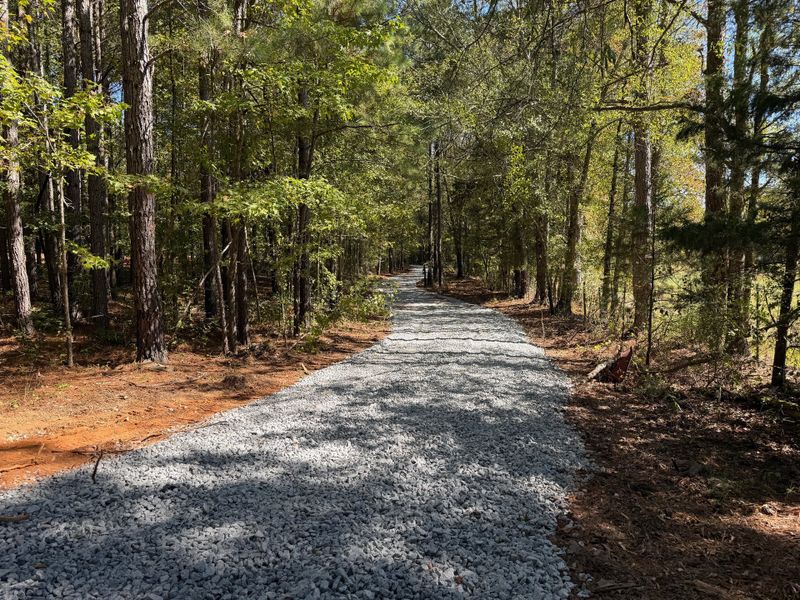 Natural surroundings and green spaces near Williams Mill in Zebulon, GA (Image 2).