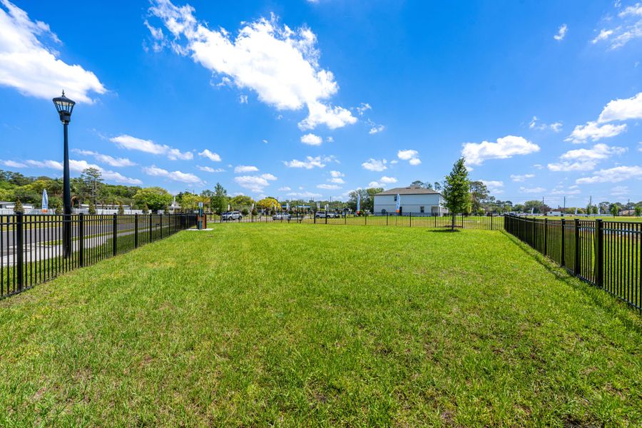 Natural surroundings and green spaces near Shenandoah Reserve in Orlando, FL (Image 43).