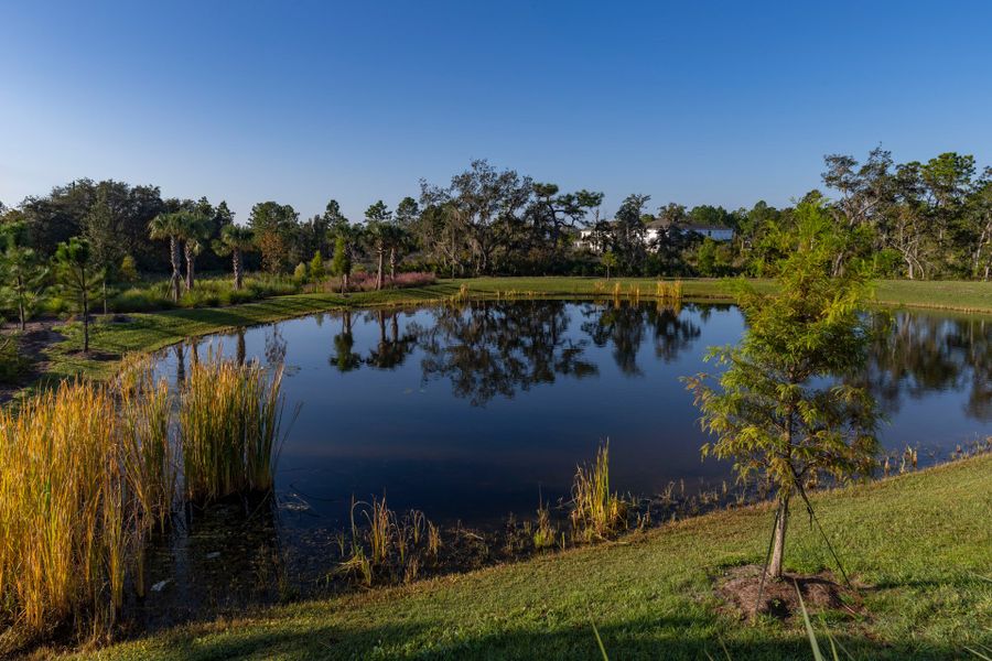 Trinity Gardens in DeLand, FL – New Home Community Surrounded by Nature Trinity Gardens in DeLand, FL – New Home Community Surrounded by Nature