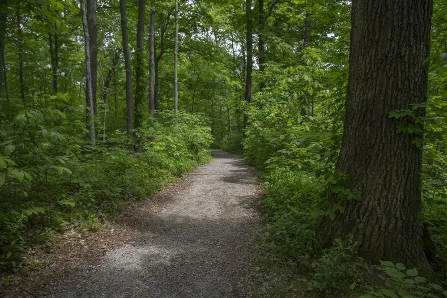 Where every path leads to moments that matter, across 8 miles of beautiful trails.​