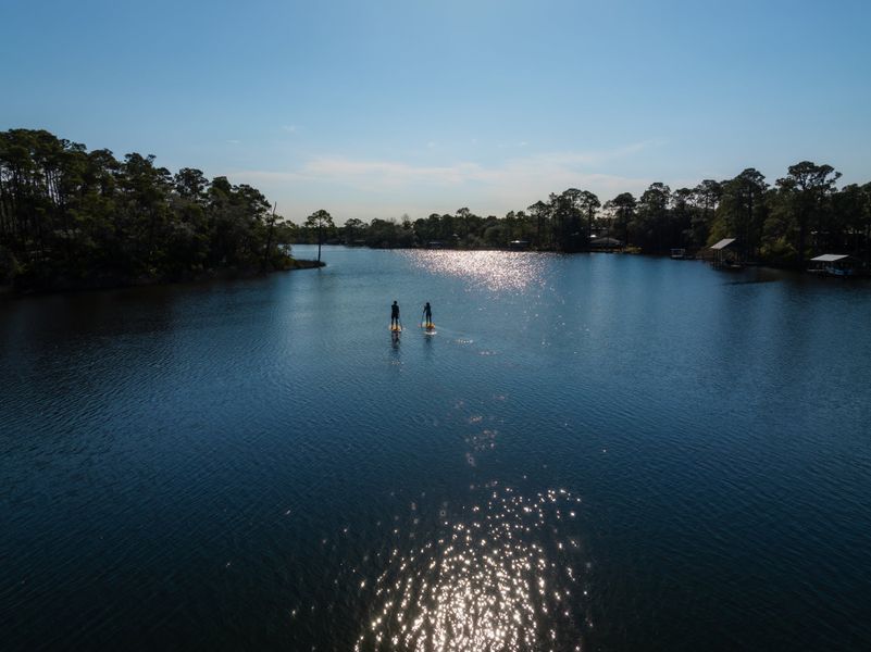 Natural surroundings and green spaces near The Villas at Longleaf Park, a Watersound Origins® community in Inlet Beach, FL (Image 44).