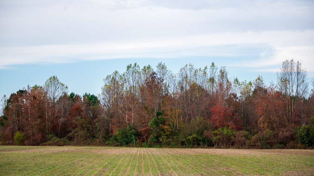 Natural surroundings and green spaces near Riverside in Zebulon, NC (Image 45). Natural surroundings and green spaces near Riverside in Zebulon, NC (Image 45).
