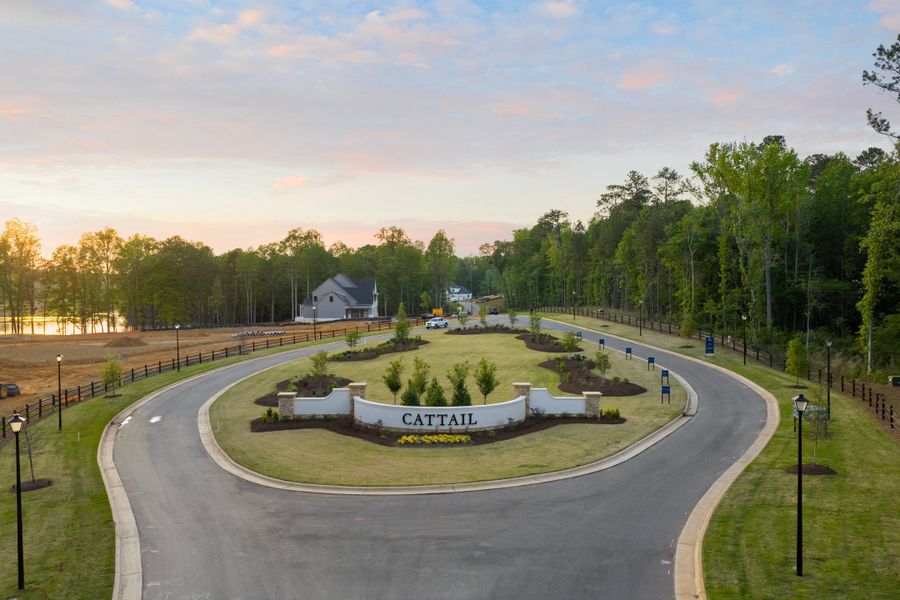 Entrance to the Cattail community in Clayton, NC, featuring signage and landscaping (Image 3).