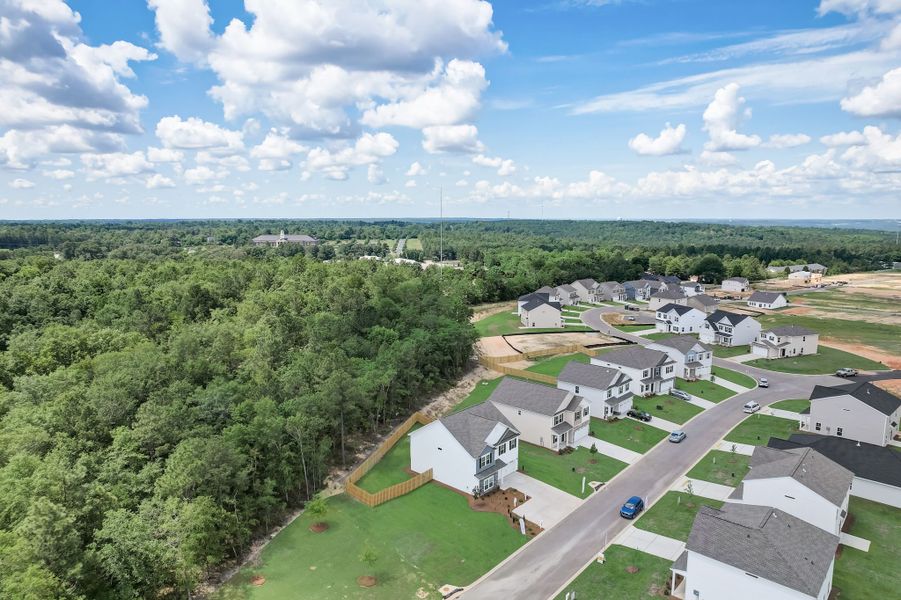 Aerial view of the Beach Forest community in Sumter, SC, showing layout and nearby surroundings (Image 14).
