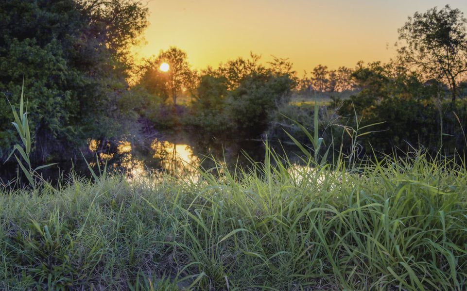 Natural surroundings and green spaces near Vistera of Venice in Nokomis, FL (Image 6).