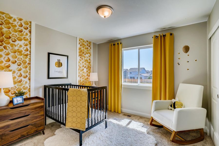 Image 16 of the Enclave at Pine Grove community in Parker, CO.