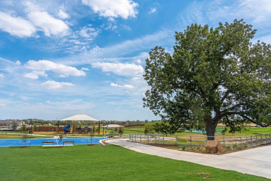 Natural surroundings and green spaces near Overlook Ranch in Georgetown, TX (Image 28).