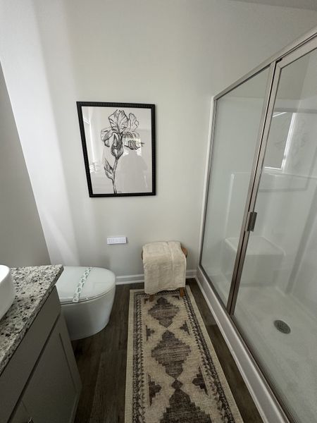 A modern bathroom with a sleek shower, patterned rug, framed art, and granite countertop for a stylish look.