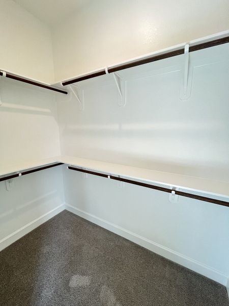 A spacious walk-in closet with white shelving and carpeted floors, perfect for organized storage and easy access. A spacious walk-in closet with white shelving and carpeted floors, perfect for organized storage and easy access.