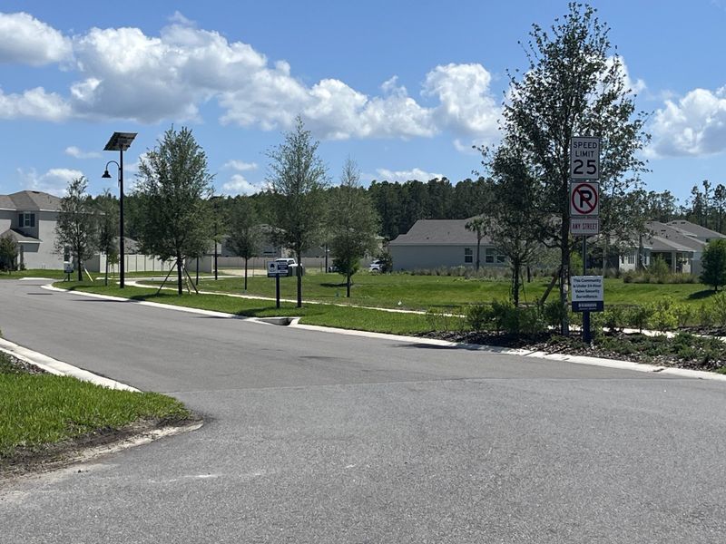 A tranquil neighborhood street in Deerbrook by D.R. Horton, featuring well-maintained homes and lush greenery in Land O' Lakes, FL.