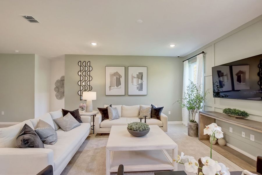 Living Rooms with Great Natural Light