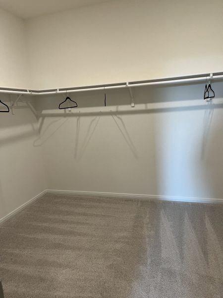A spacious walk-in closet with neutral carpet flooring and ample hanging space.