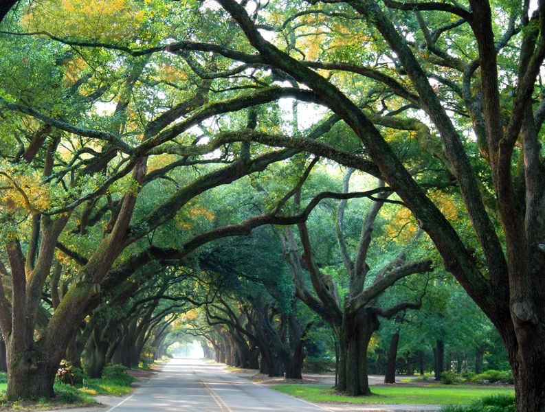 Image 32 of the The Abbey at Trolley Run Station community in Aiken, SC.