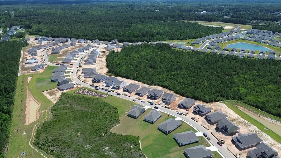 Aerial view of the Eden Springs community in Longs, SC, showing layout and nearby surroundings (Image 14).