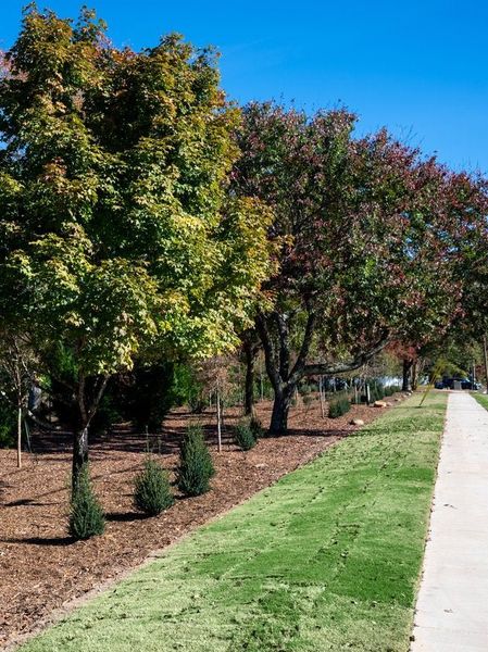 Natural surroundings and green spaces near Enclave at McKee in Charlotte, NC (Image 8).