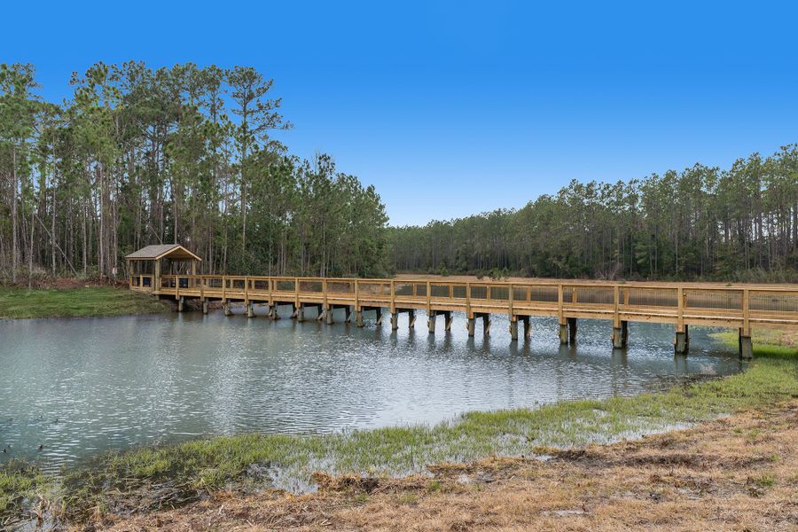 Natural surroundings and green spaces near Evergreen Island at Silverleaf - Executive in St. Augustine, FL (Image 26).