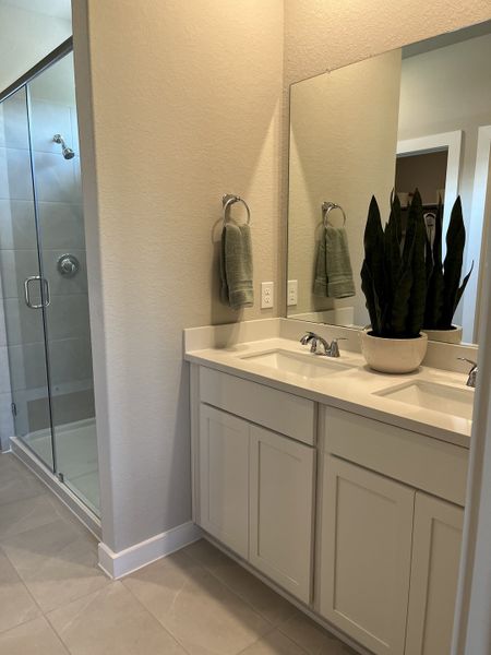 A modern bathroom featuring a sleek glass shower, double vanity, and stylish greenery for a fresh touch.