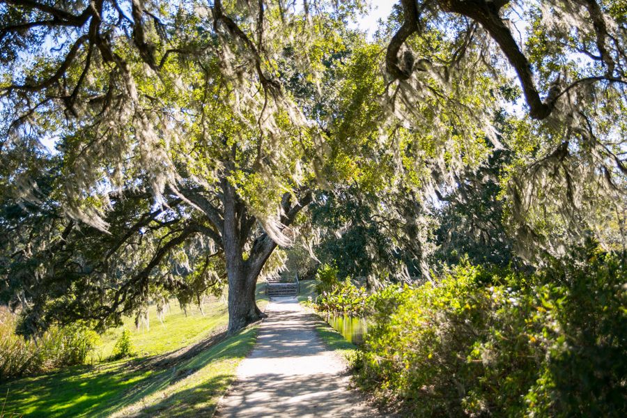 Natural surroundings and green spaces near Windham Park in Winter Garden, FL (Image 7). Natural surroundings and green spaces near Windham Park in Winter Garden, FL (Image 7).