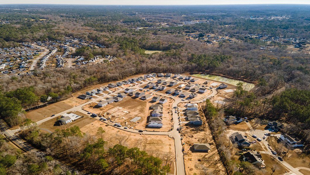 Image 45 of the Reserve at Mallard Crossing community in Summerville, SC.