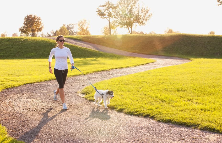 Image 15 of the Ridgeview community in Clermont, FL. Image 15 of the Ridgeview community in Clermont, FL.