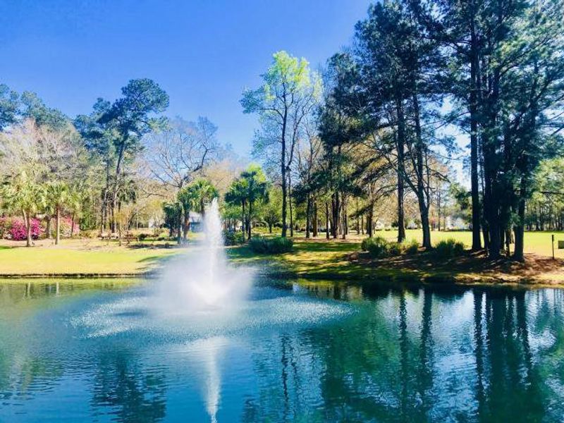 Natural surroundings and green spaces near Tributary III at The Park at Rivers Edge in North Charleston, SC (Image 9). Natural surroundings and green spaces near Tributary III at The Park at Rivers Edge in North Charleston, SC (Image 9).