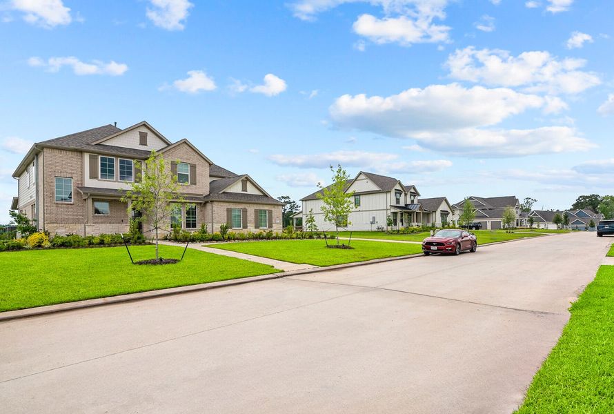 Streetscape Streetscape