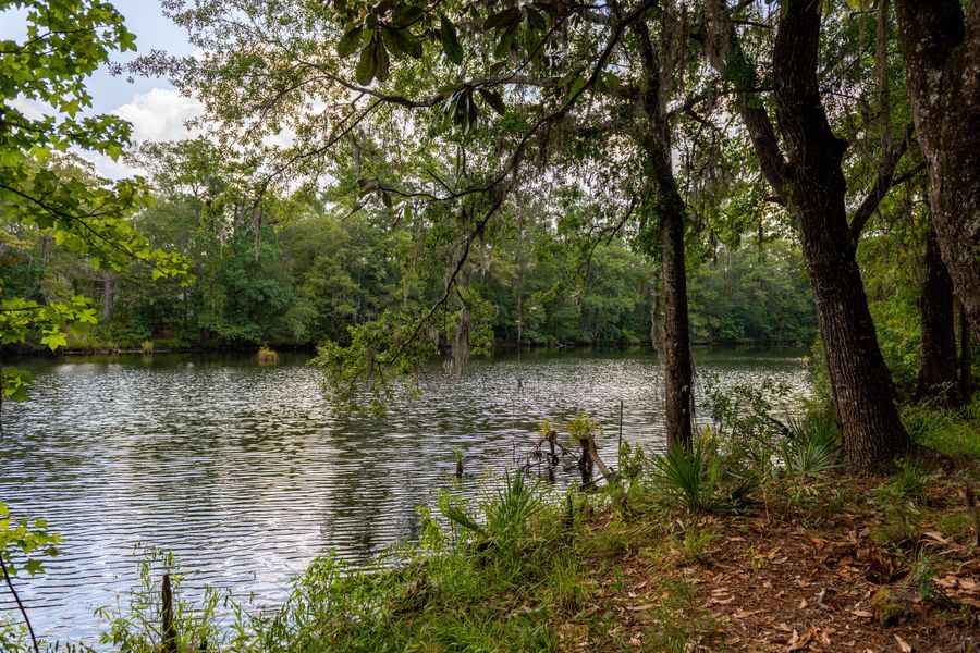 Natural surroundings and green spaces near The Highlands: Highland Duets in Porter, TX (Image 9). Natural surroundings and green spaces near The Highlands: Highland Duets in Porter, TX (Image 9).