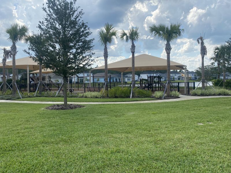 A charming community park with palm trees and shade structures in Reflections At Nocatee by Riverside Homes (Ponte Vedra Beach, FL).