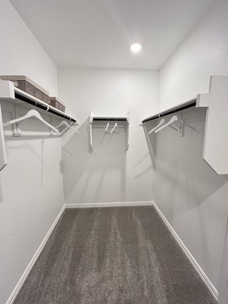 A spacious walk-in closet with plush carpet, built-in shelving, and ample hanging space.