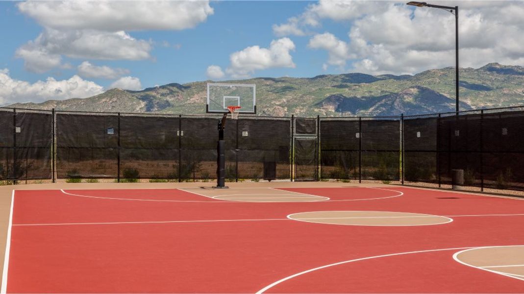 Basketball Court