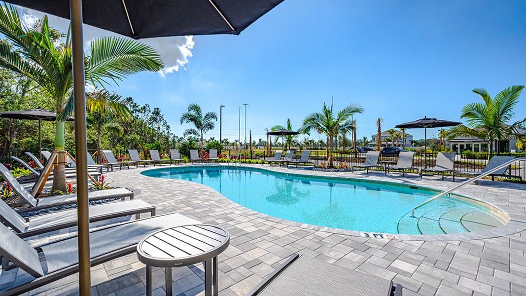 Community amenity available to residents of The Towns at Tiburon in Nokomis (Image 4).