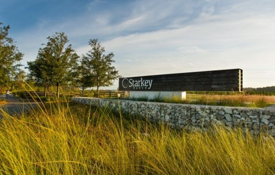 Image 18 of the Starkey Ranch community in Odessa, FL.
