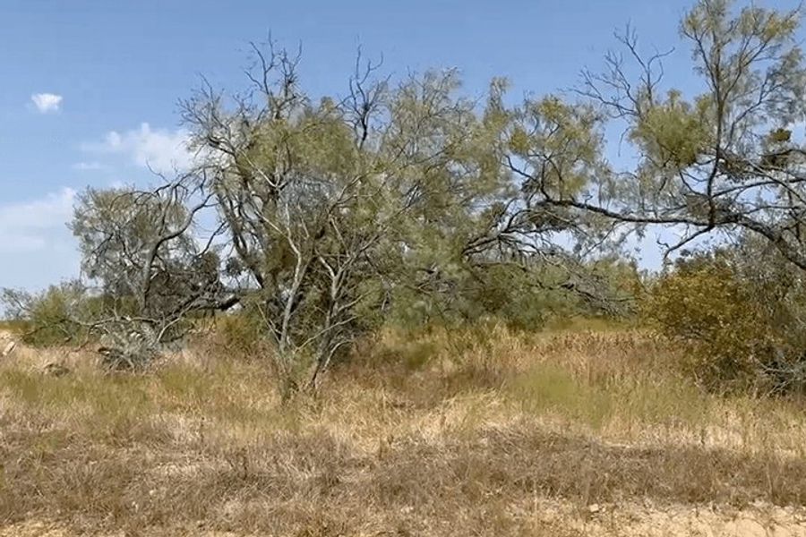 The Reserve At Brock,76087 The Reserve At Brock,76087